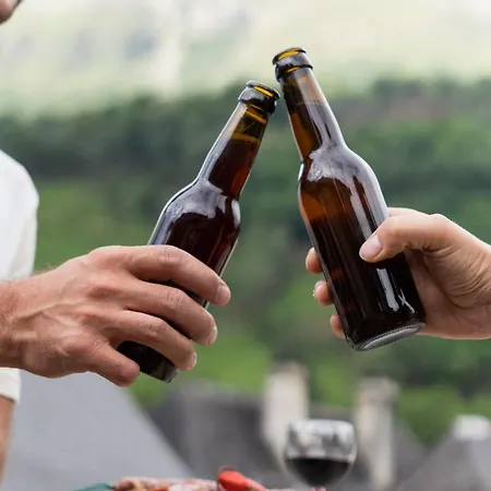 Le Patio - Vallée D'aspe Appartement *