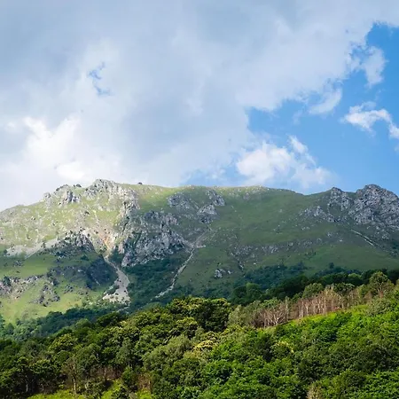 Le Patio - Vallée D'aspe *