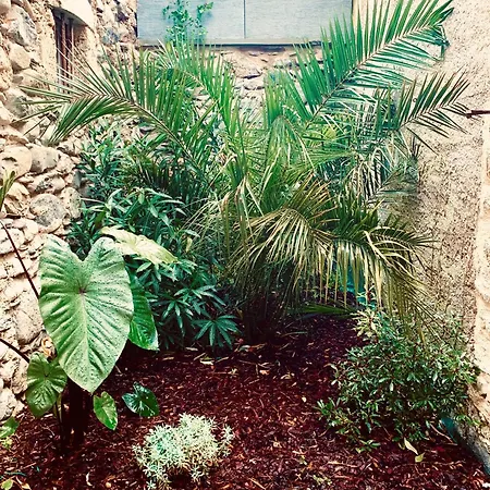Apartment Le Patio - Vallee D'aspe