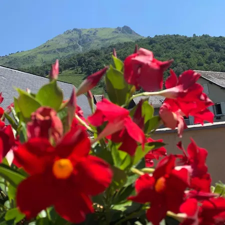 Le Patio - Vallee D'aspe *