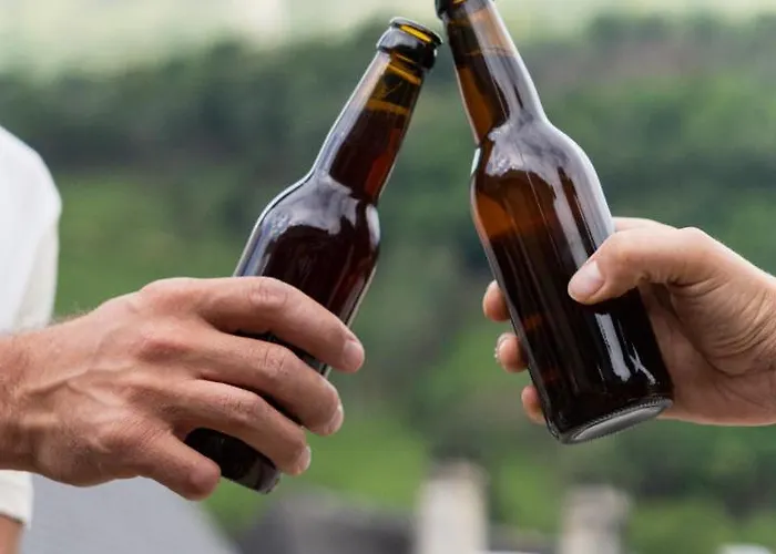 Le Patio - Vallée D'aspe Apartamento *