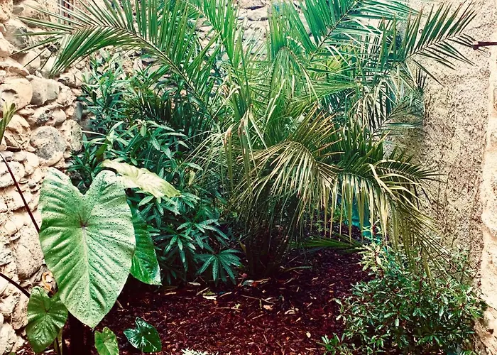 Apartament Le Patio - Vallee D'aspe