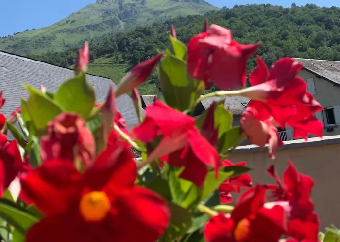 Le Patio - Vallee D'aspe *